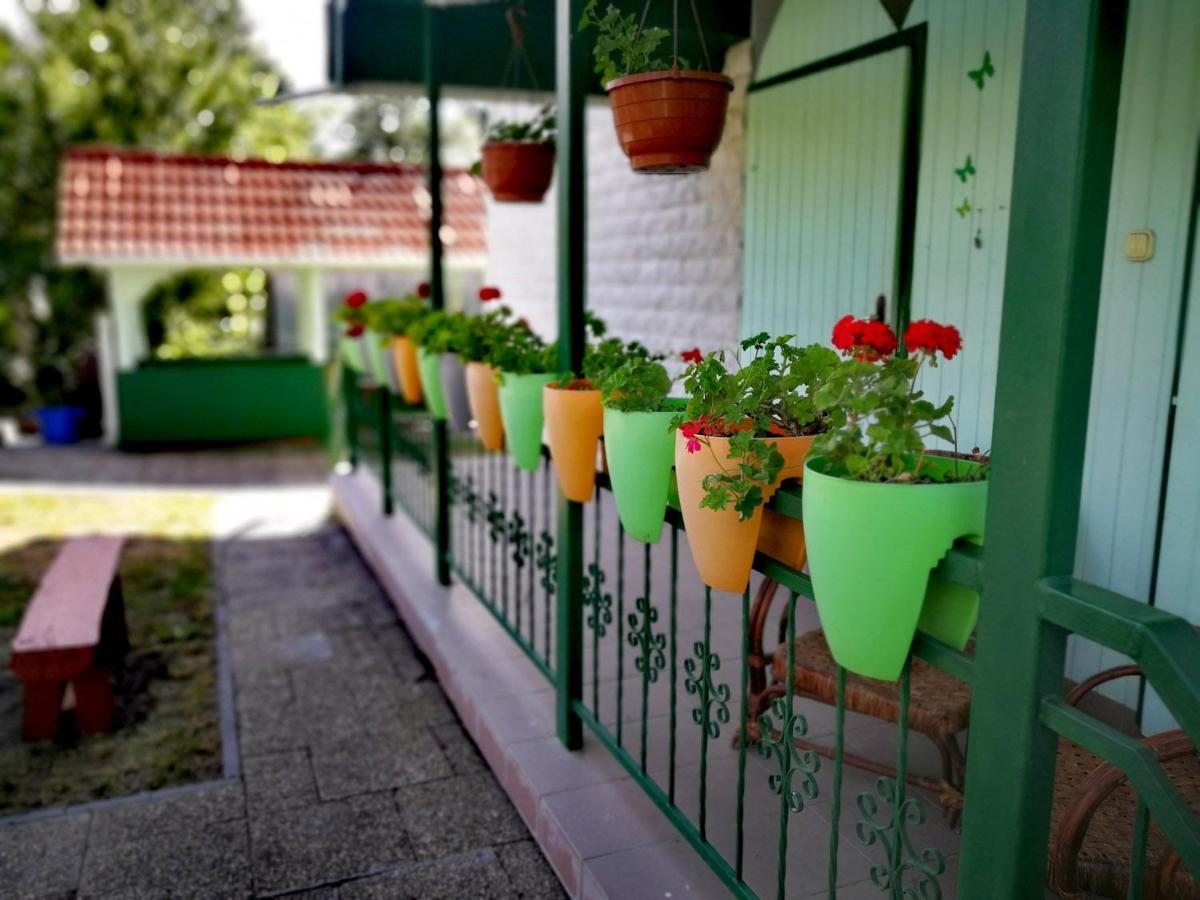 Dolce Villa Balaton 沃尼奥尔茨沃什海吉 外观 照片